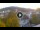Webcam in Baden-Baden, 10.9 mi away