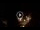 Webcam in Baden-Baden, 9.9 mi away