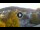 Webcam in Baden-Baden, 12.1 mi away
