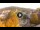 Webcam in Baden-Baden, 11.7 mi away