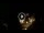 Webcam in Baden-Baden, 12.1 mi away