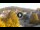 Webcam in Baden-Baden, 10.9 mi away