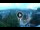 Webcam in Baden-Baden, 30.1 km