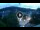 Webcam in Baden-Baden, 7.1 mi away