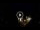 Webcam in Baden-Baden, 6 mi away