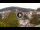 Webcam in Baden-Baden, 0.2 km entfernt