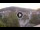 Webcam in Baden-Baden, 9.8 mi away
