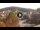 Webcam in Baden-Baden, 8.8 mi away
