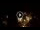 Webcam in Baden-Baden, 12.5 mi away