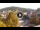 Webcam in Baden-Baden, 7.3 mi away