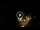 Webcam in Baden-Baden, 18 mi away