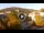 Webcam in Baden-Baden, 11.4 mi away