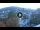 Webcam in Baden-Baden, 29.3 km