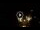 Webcam in Baden-Baden, 8.8 mi away