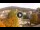 Webcam in Baden-Baden, 8.5 mi away