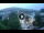 Webcam in Baden-Baden, 31.3 km