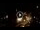 Webcam in Baden-Baden, 12.1 mi away