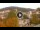 Webcam in Baden-Baden, 11.3 mi away