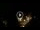 Webcam in Baden-Baden, 12.1 mi away