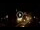 Webcam in Baden-Baden, 9.9 mi away