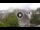 Webcam in Baden-Baden, 9.8 mi away