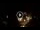 Webcam in Baden-Baden, 10.9 mi away