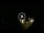 Webcam in Baden-Baden, 12.7 mi away