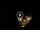 Webcam in Baden-Baden, 11.4 mi away