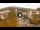 Webcam in Baden-Baden, 8.5 mi away
