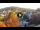 Webcam in Baden-Baden, 29.6 km