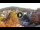 Webcam in Baden-Baden, 7.3 mi away