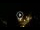 Webcam in Baden-Baden, 10.9 mi away