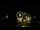 Webcam in Baden-Baden, 12.1 mi away