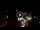 Webcam in Baden-Baden, 15.8 mi away