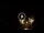 Webcam in Baden-Baden, 8.6 mi away