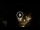 Webcam in Baden-Baden, 10.9 mi away