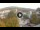 Webcam in Baden-Baden, 12.5 mi away