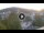 Webcam in Baden-Baden, 29.6 km entfernt