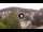Webcam in Baden-Baden, 8.5 mi away