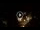 Webcam in Baden-Baden, 12.1 mi away