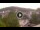 Webcam in Baden-Baden, 8.5 mi away