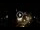 Webcam in Baden-Baden, 11.8 mi away