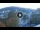 Webcam in Baden-Baden, 31.2 km