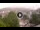 Webcam in Baden-Baden, 12.5 mi away