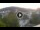 Webcam in Baden-Baden, 7.1 mi away