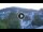 Webcam in Baden-Baden, 18.6 km