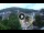 Webcam in Baden-Baden, 11.3 mi away