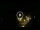 Webcam in Baden-Baden, 8.5 mi away