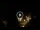Webcam in Baden-Baden, 7.3 mi away
