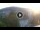 Webcam in Baden-Baden, 0.2 km